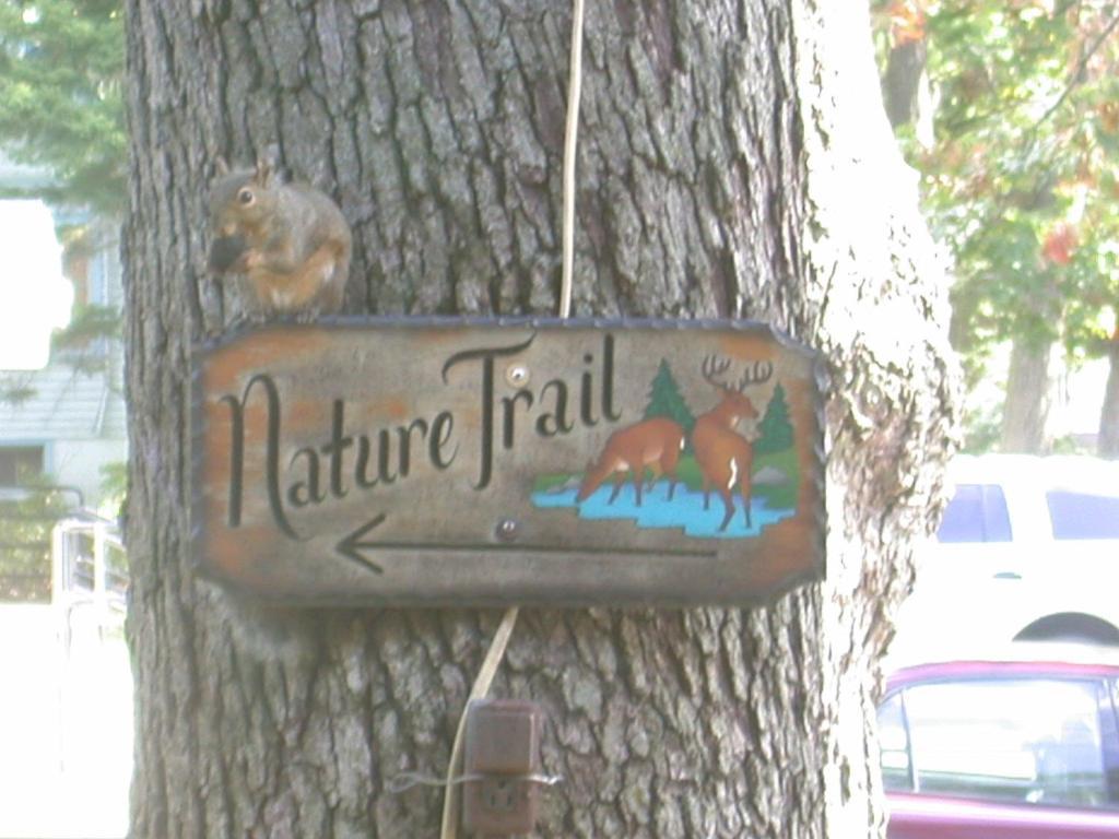 Indian Trail Motel Wisconsin Dells Luaran gambar